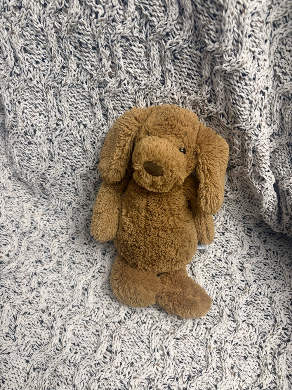 Jellycat Brown Plush Puppy Stuffed Animal